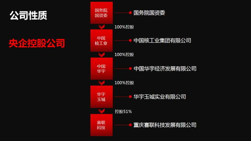 新囍聯(lián)新產(chǎn)品新模式渠道商啟動(dòng)大會(huì)圓滿召開，開啟互聯(lián)網(wǎng)數(shù)據(jù)服務(wù)新篇章