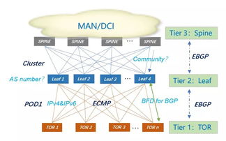 互聯(lián)網(wǎng)公司大型數(shù)據(jù)中心BGP路由協(xié)議規(guī)劃與數(shù)據(jù)服務(wù)優(yōu)化